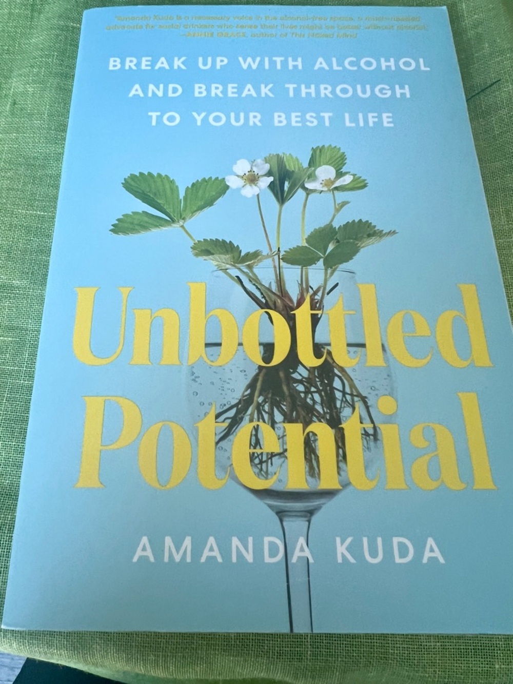 Unbottled Potential by Amanda Kuda - Light Blue Cover with Yellow Title